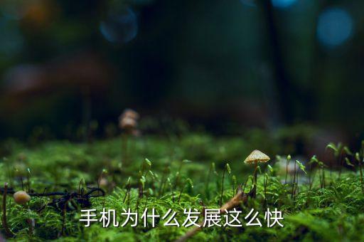 匯通華城為什么發(fā)展這么快，為什么快遞行業(yè)在廣州這邊發(fā)展這么快
