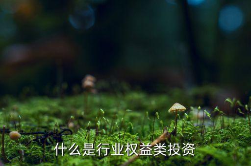 什么是權(quán)益類投資產(chǎn)品，權(quán)益類投資是什么