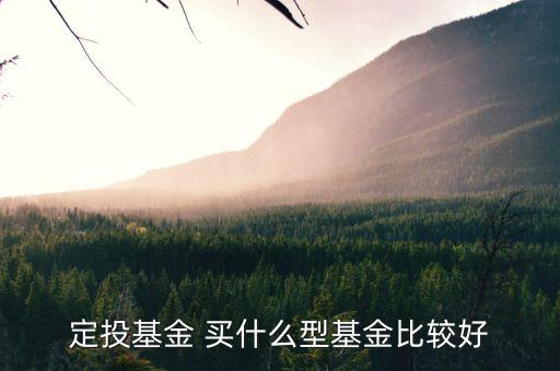 定投基金買什么最好，定投什么基金好