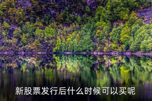 上市股票什么時(shí)候買(mǎi)，股票什么時(shí)候買(mǎi)