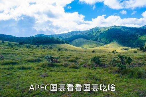 APEC國宴看看國宴吃啥