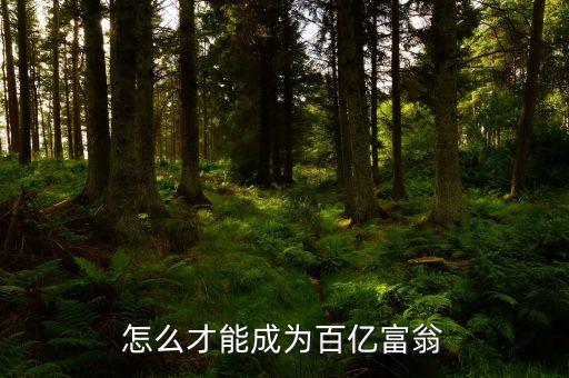 拿什么沖百億，怎么才能成為百億富翁