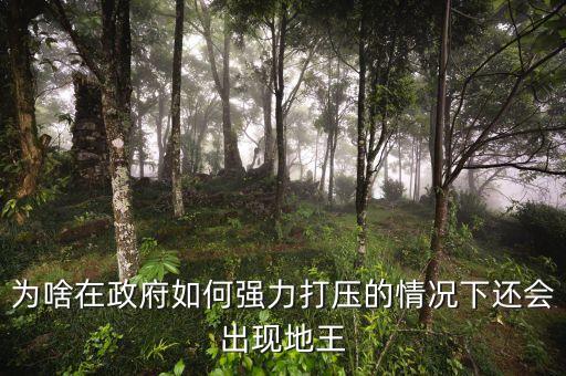 2016年為什么地王頻出，地王頻現(xiàn)傳遞什么信號
