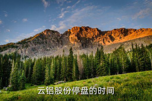 云鋁股份為什么停牌，請(qǐng)問(wèn)000807云鋁股份26號(hào)為什么停牌啊