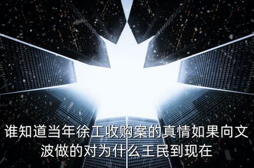 誰知道當(dāng)年徐工收購案的真情如果向文波做的對(duì)為什么王民到現(xiàn)在