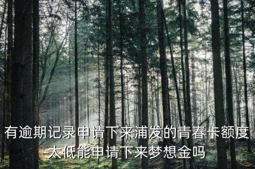 為什么青春卡夢(mèng)想金要等一個(gè)月，浦發(fā)信用卡青春卡的夢(mèng)想金是開(kāi)卡就可以申請(qǐng)的還是等一個(gè)月