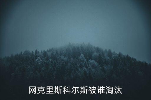 斯科爾斯為什么叫，斯科爾斯為什么叫做生姜頭