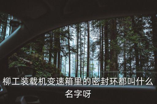 柳工836使用的什么鋼圈，柳工836配用的是什么發(fā)動機(jī)