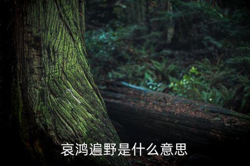 哀嚎遍野是什么意思，哀鴻遍野是什么意思