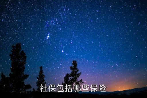 社保保險(xiǎn)保些什么，社會保險(xiǎn)包括哪些險(xiǎn)