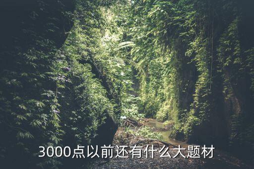 300073有什么題材，3000點以前還有什么大題材