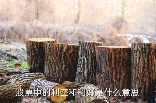 股票利好是什么意思，股票利空利好啥意思多謝
