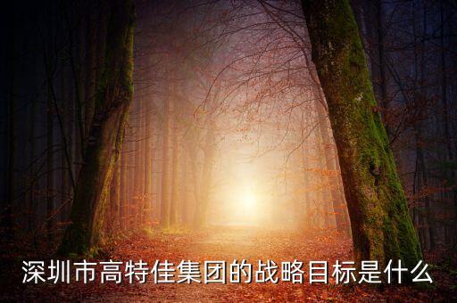 高特佳還有什么資產(chǎn)注入博雅，深圳市高特佳集團的戰(zhàn)略目標是什么