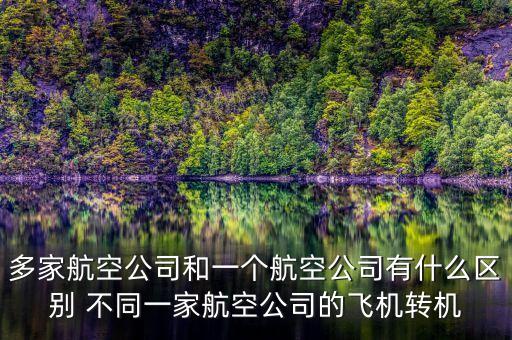 多家航空公司什么意思，同一架飛機(jī)有2家公司運(yùn)營(yíng)嗎我和我哥買(mǎi)的同一家飛機(jī)為什么是不