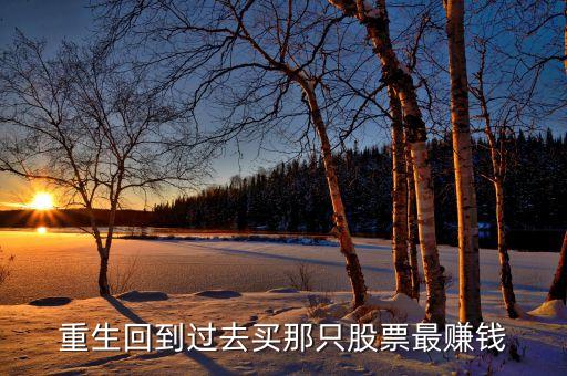 重生回到過(guò)去買(mǎi)那只股票最賺錢(qián)