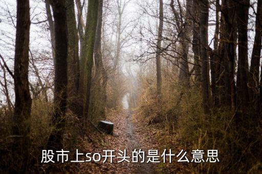 so股票什么意思，股市上so開頭的是什么意思