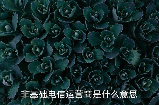 什么是基礎(chǔ)電信運營商，請問基礎(chǔ)電信企業(yè)是不是就是指幾大電信運營商啊不勝感激