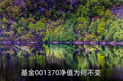 基金為什么無(wú)變化，基金三天了凈值沒(méi)變化是什么原因