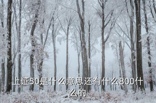 上證50什么意思，上證50是什么意思還有什么800什么的