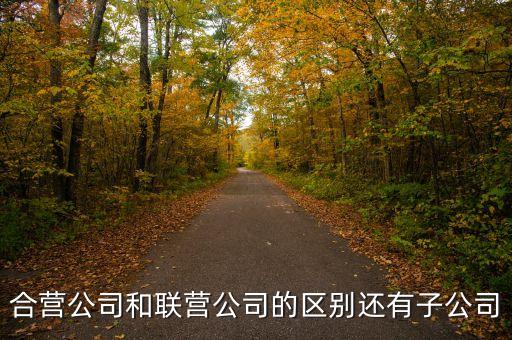 合營公司和聯(lián)營公司的區(qū)別還有子公司