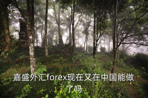 嘉盛外匯為什么2008年退出中國，請(qǐng)問嘉盛怎樣了解的給說下謝了