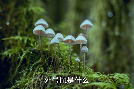 買受人號碼ht是什么，備案合同中買受人號碼HT