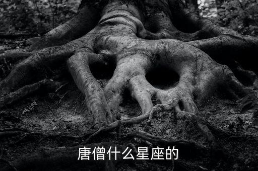 唐僧師徒什么星座，唐僧什么星座的