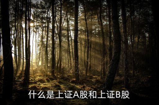 什么股票屬于上證，什么股票代碼屬于上證指數(shù)1A0001