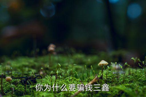 為什么中航三鑫，你為什么要騙錢三鑫