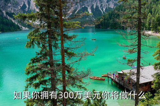 美國(guó)300萬(wàn)美元能做什么，如果你擁有300萬(wàn)美元你將做什么