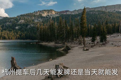 杭州車牌什么時候發(fā)放，杭州車牌拍好多久拿到