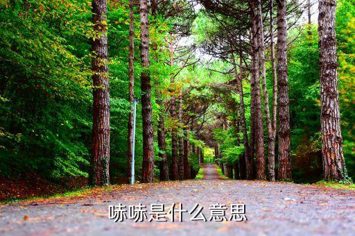 不哧是什么意思，哧哧是什么意思