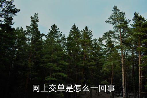 什么叫電子交單，網(wǎng)上交單是怎么一回事