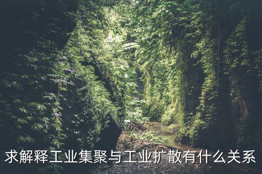 求解釋工業(yè)集聚與工業(yè)擴散有什么關系
