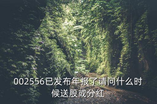 深圳能源什么時(shí)候送股，深圳能源什么時(shí)候送股