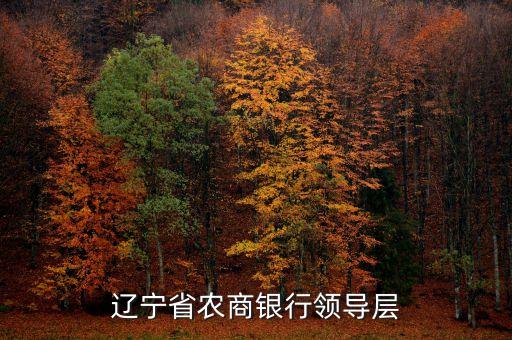 遼寧什么信用聯(lián)社理事長(zhǎng)名單，遼寧省農(nóng)村信用社聯(lián)合社現(xiàn)在叫什么名