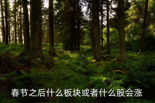 春節(jié)什么板塊股票活躍，根據(jù)以往的情況臨近過年時什么板塊比較活躍