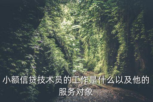 小額信貸技術員的工作是什么以及他的服務對象