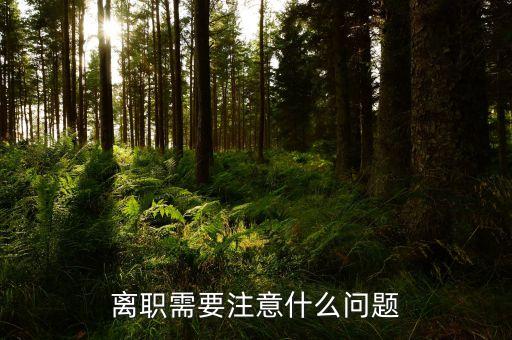 華北制藥辭職需要注意什么，辭職應(yīng)該注意些什么呢
