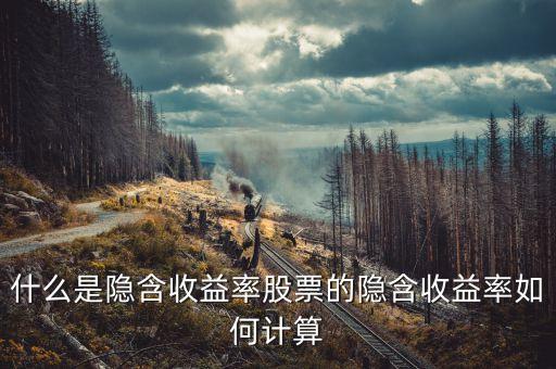 亞普汽車什么時候上市，誰知道隱含收益率是咋的回事的啊