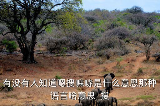 有沒(méi)有人知道嗯搜嘛哧是什么意思那種語(yǔ)言啥意思  搜