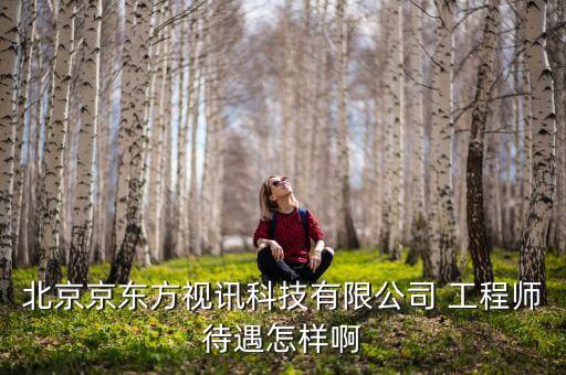 京東方視迅是什么公司，北京京東方視訊科技有限公司 工程師待遇怎樣啊