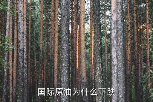 國際原油為什么暴跌，造成國際油價下跌的因素有哪些
