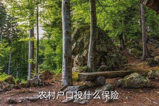 農村買的保險是什么保險，農民需要買什么保險