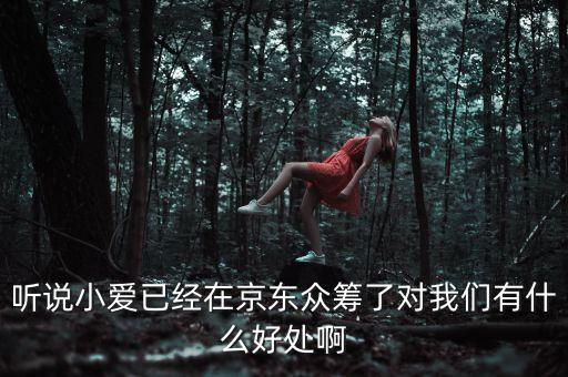 京東jimi機(jī)器人有什么作用，jimi 是什么意思