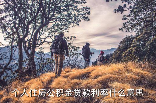 公積金利率是什么意思，個人住房公積金存款利率是什么意思