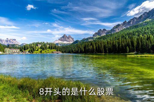 8開(kāi)頭的是什么股票