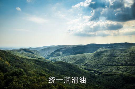 霍氏為什么賣統(tǒng)一潤滑油，統(tǒng)一潤滑油