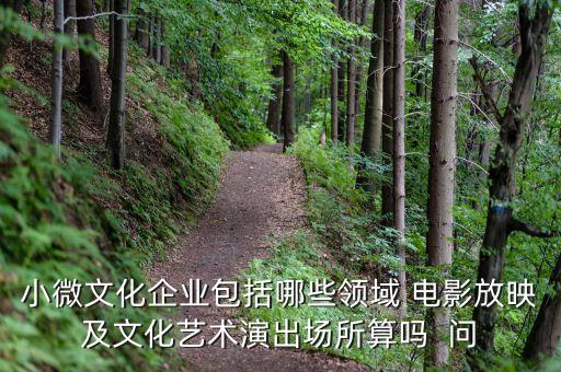 小微文化企業(yè)具體指什么，小微文化企業(yè)包括哪些領(lǐng)域 電影放映及文化藝術(shù)演出場(chǎng)所算嗎  問