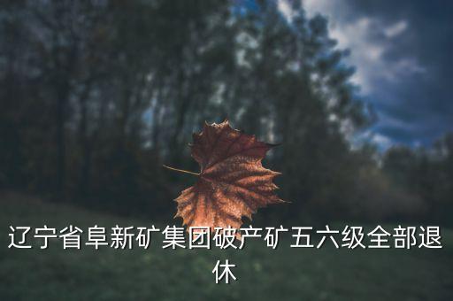 阜礦集團(tuán)什么時候破產(chǎn)，遼寧省阜新礦集團(tuán)破產(chǎn)礦五六級全部退休